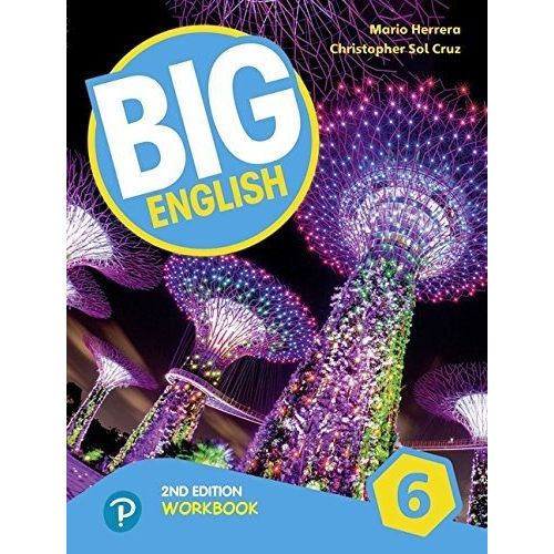 BIG ENGLISH 6 2ND.EDITION (AMERICAN) - WORKBOOK