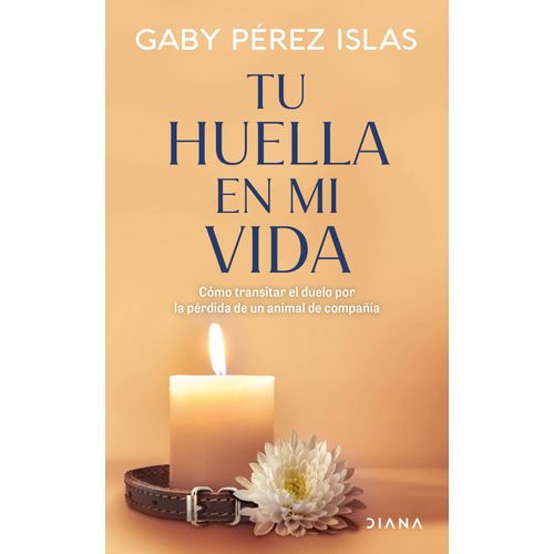 TU HUELLA EN MI VIDA - GABY PEREZ ISLAS