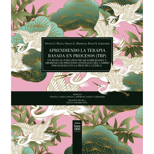 APRENDIENDO LA TERAPIA BASADA EN PROCESOS