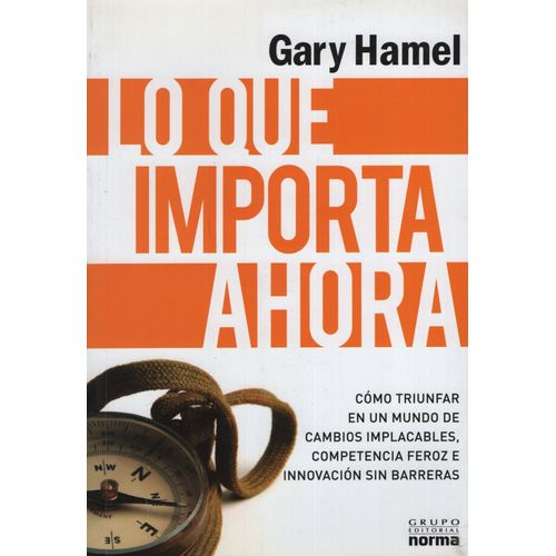 LO QUE IMPORTA AHORA