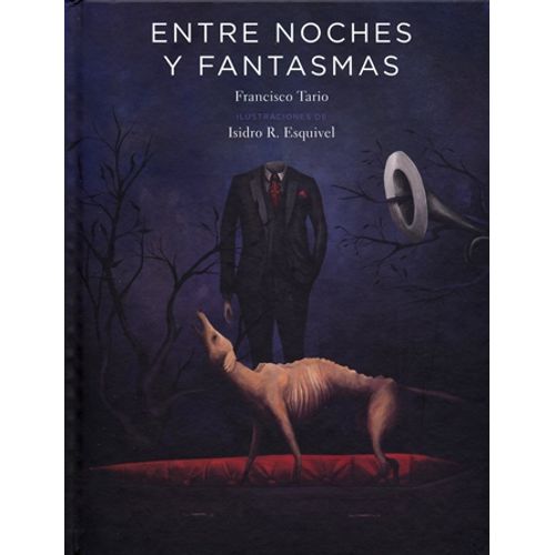 ENTRE NOCHES Y FANTASMAS