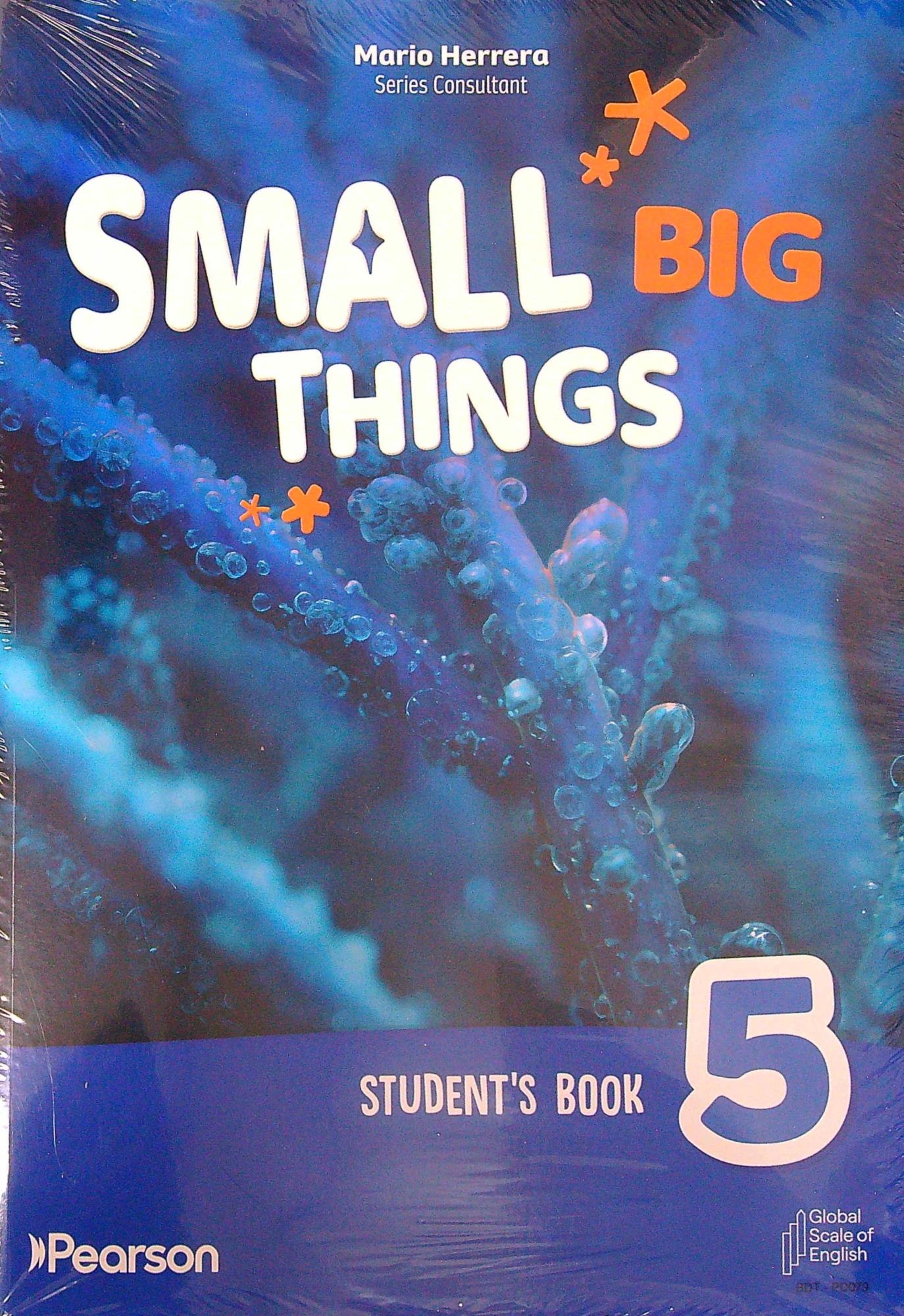 SMALL BIG THINGS 5 AMERICAN - SB + E-BOOK + ONLINE PRACTICE