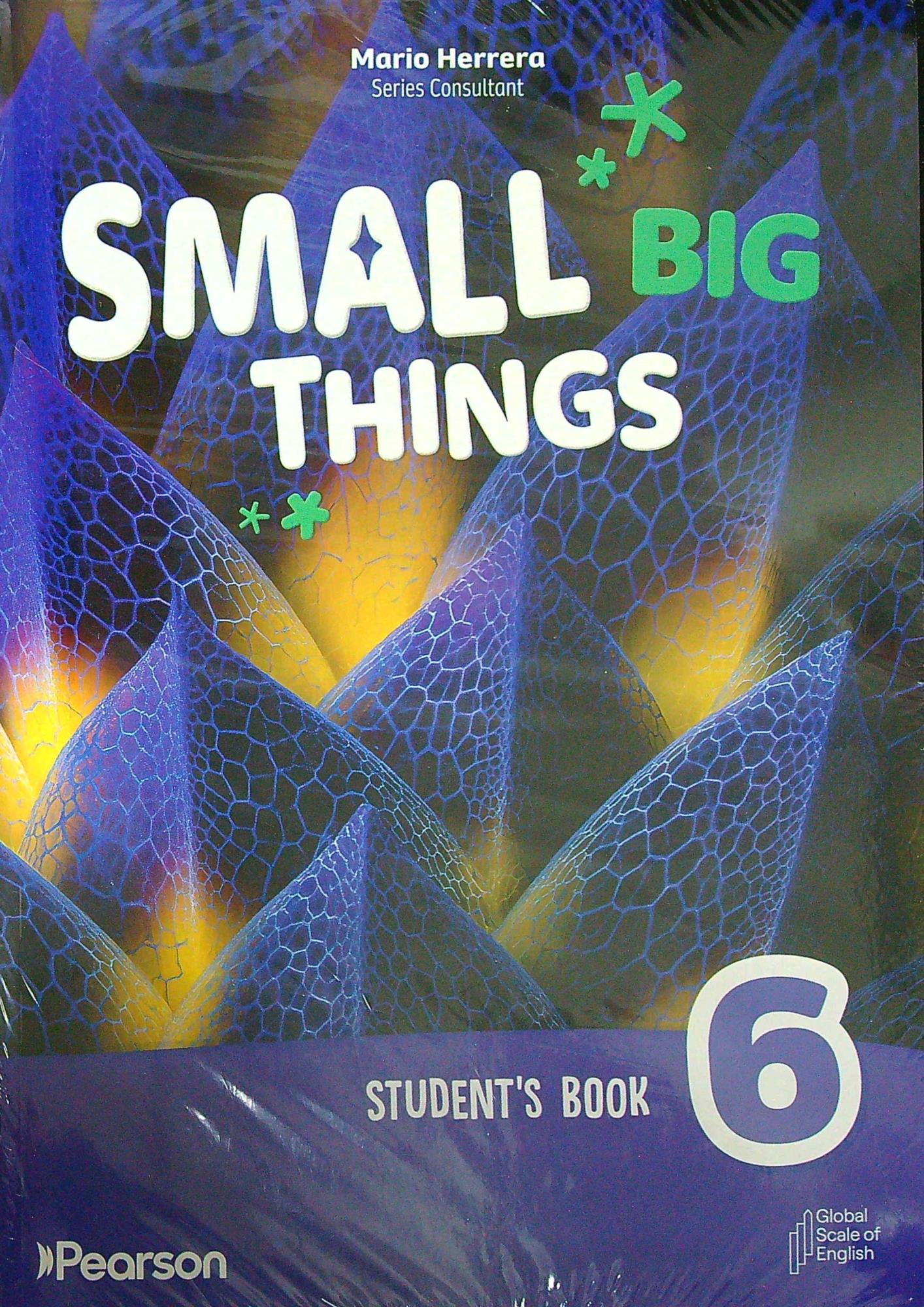 SMALL BIG THINGS 6 AMERICAN - SB + E-BOOK + ONLINE PRACTICE