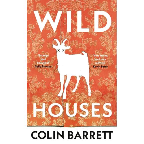 WILD HOUSES - COLIN BARRETT