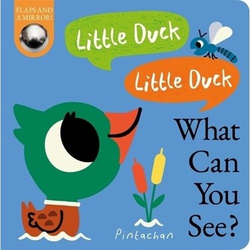 LITTLE DUCK LITTLE DUCK WHAT CAN YOU SEE?