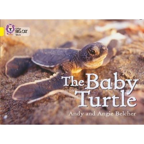 THEBABY TURTLE - BIG CAT 3 / YELLOW
