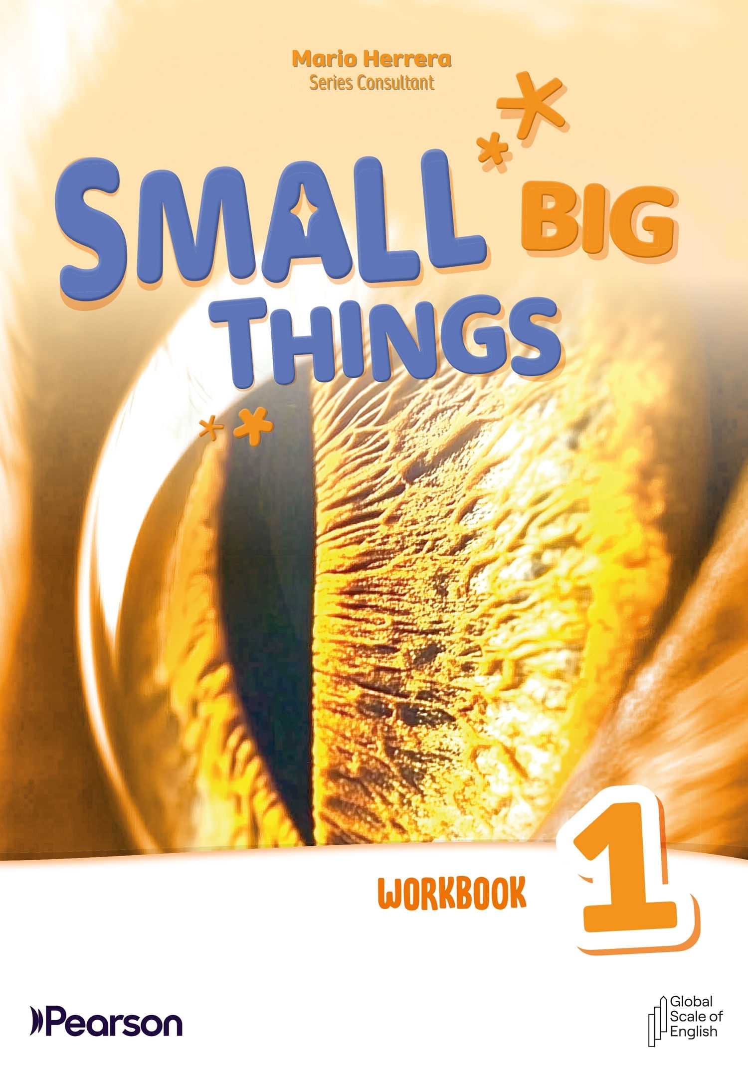 SMALL BIG THINGS 1 AMERICAN - WORKBOOK