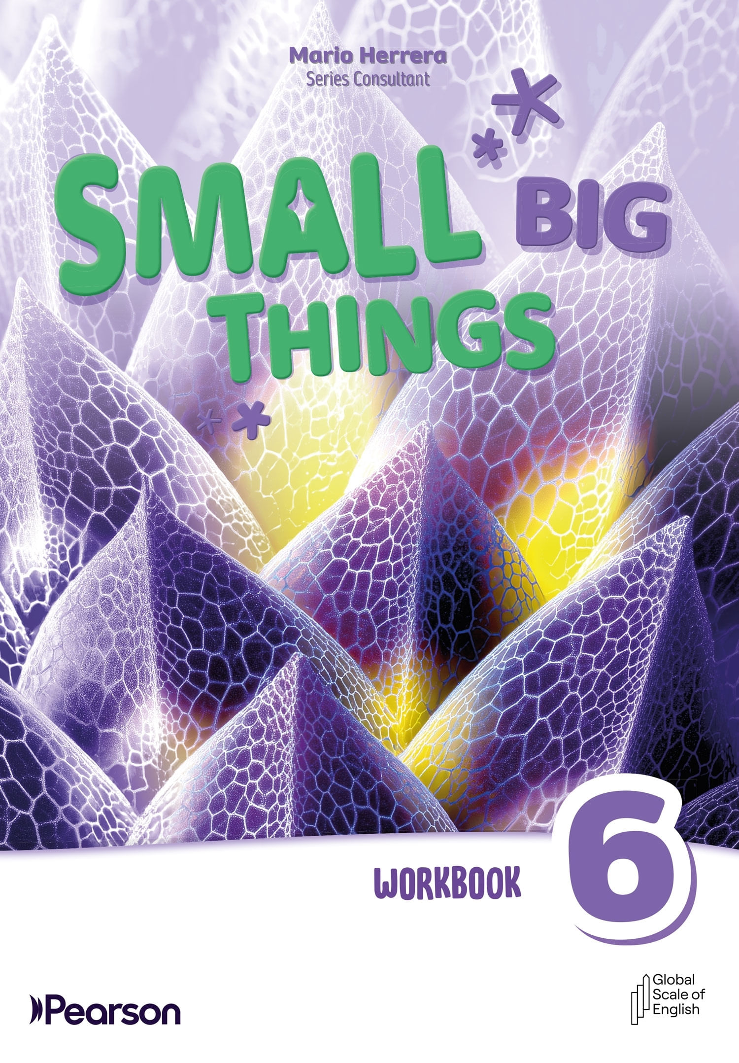 SMALL BIG THINGS 6 AMERICAN - WORKBOOK