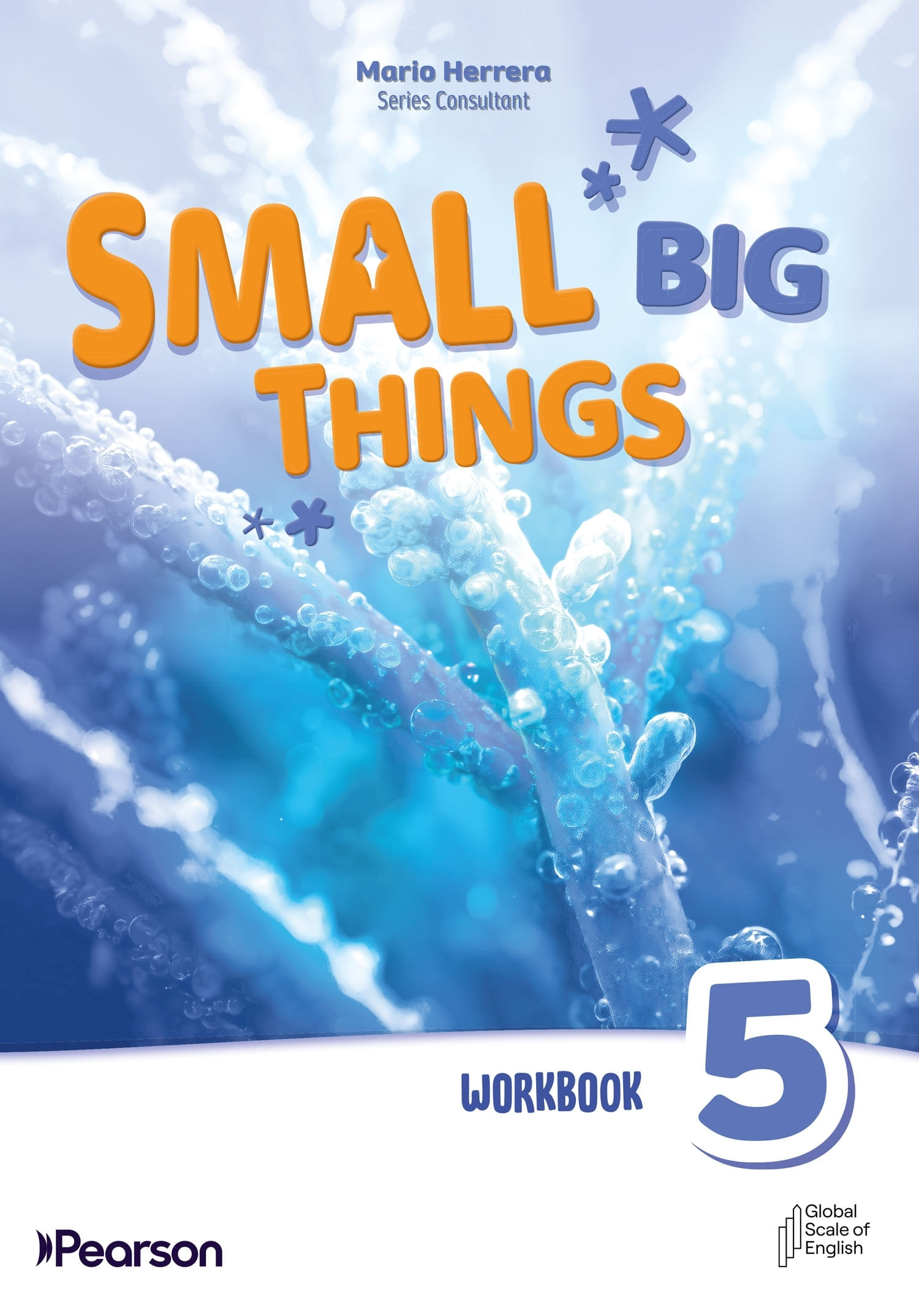 SMALL BIG THINGS 5 AMERICAN - WORKBOOK