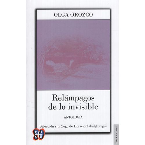 RELAMPAGOS DE LO INVISIBLE - OLGA OROZCO