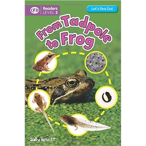 FROM TADPOLE TO FROG  - LET'S FIND OUT