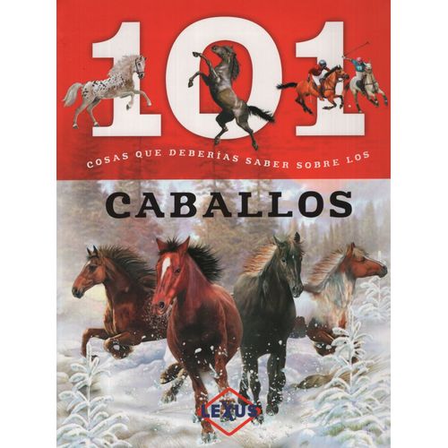 101 COSAS QUE DEBERIAS SABER SOBRE LOS CABALLOS