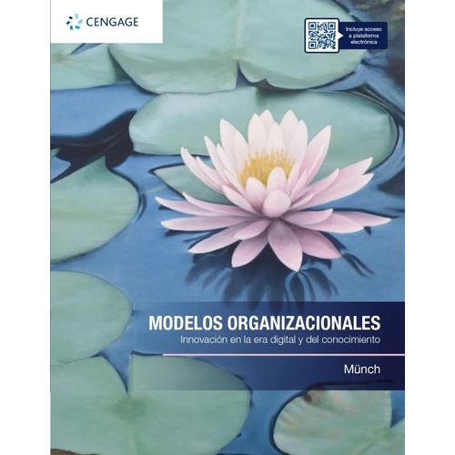 MODELOS ORGANIZACIONALES - LOURDES MUNCH GALINDO