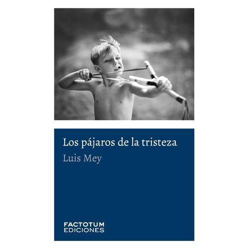 LOS PAJAROS DE LA TRISTEZA - LUIS MEY