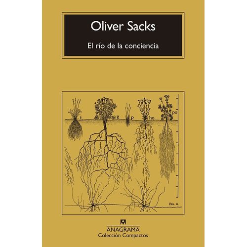 EL RIO DE LA CONCIENCIA - OLIVER SACKS