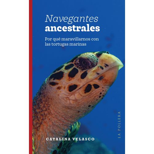 NAVEGANTES ANCESTRALES - CATALINA VELASCO