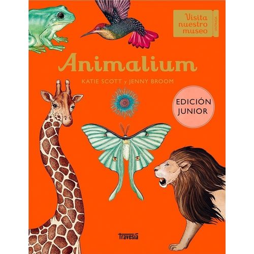 ANIMALIUM - EDICION JUNIOR - KATIE SCOTT - JENNY BROOM