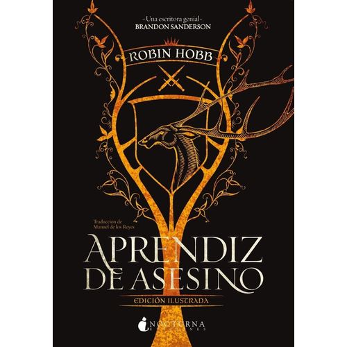 APRENDIZ DE ASESINO - TRILOGIA VATIDICO 1 - ROBIN HOBB