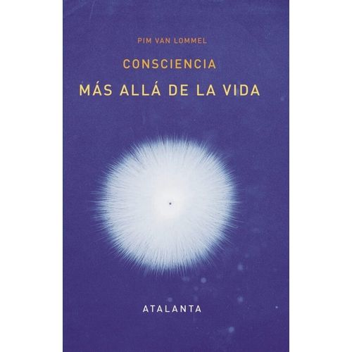 CONSCIENCIA - MAS ALLA DE LA VIDA - PIM VAN LOMMEL