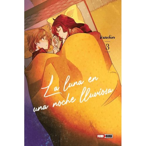 LA LUNA EN UNA NOCHE LLUVIOSA 3