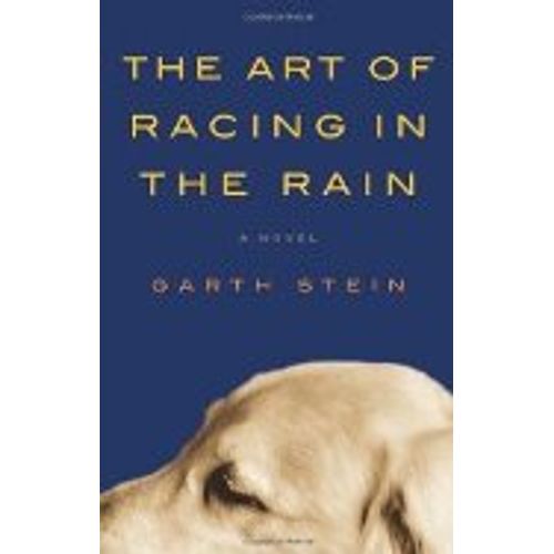 THE ART OF RACING IN THE RAIN