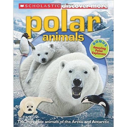 POLAR ANIMALS - DISCOVER MORE