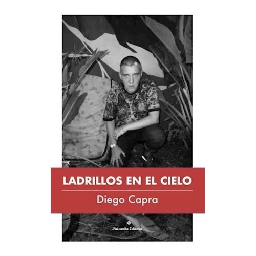 LADRILLOS EN EL CIELO - DIEGO CAPRA