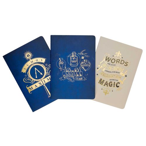 HARRY POTTER: SPELL AND POTIONS PLANNER NOTEBOOK COLLECTION