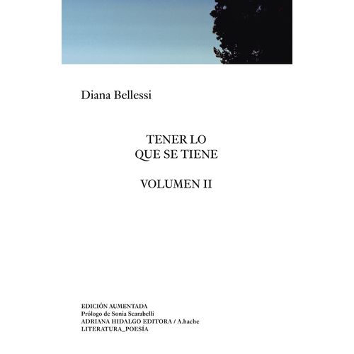 TENER LO QUE SE TIENE - VOL. 2 - EDICION AUMENTADA -BELLESSI