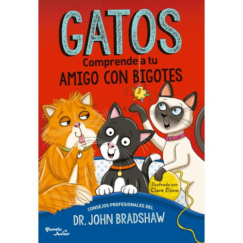 GATOS - COMPRENDE A TU AMIGO CON BIGOTES - JOHN BRADSHAW