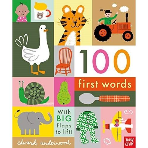 100 FIRST WORDS  - BOARD BOOK