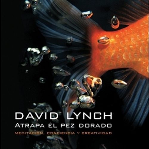 ATRAPA EL PEZ DORADO