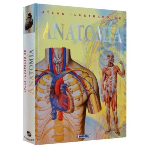 ATLAS ILUSTRADO DE ANATOMIA