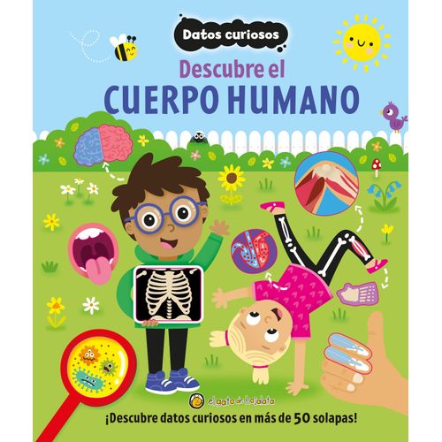 DESCUBRE EL CUERPO HUMANO - DATOS CURIOSOS