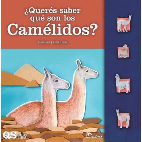 QUERES SABER QUE SON LOS CAMELIDOS?