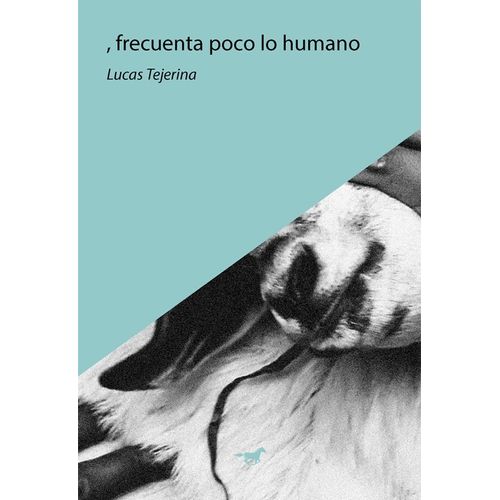 FRECUENTA POCO LO HUMANO - LUCAS TEJERINA