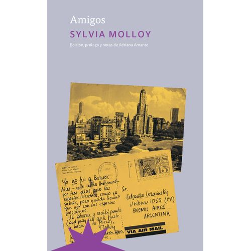 LIBRO AMIGOS - SYLVIA MOLLOY
