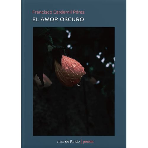 EL AMOR OSCURO - FRANCISCO CARDEMIL PEREZ